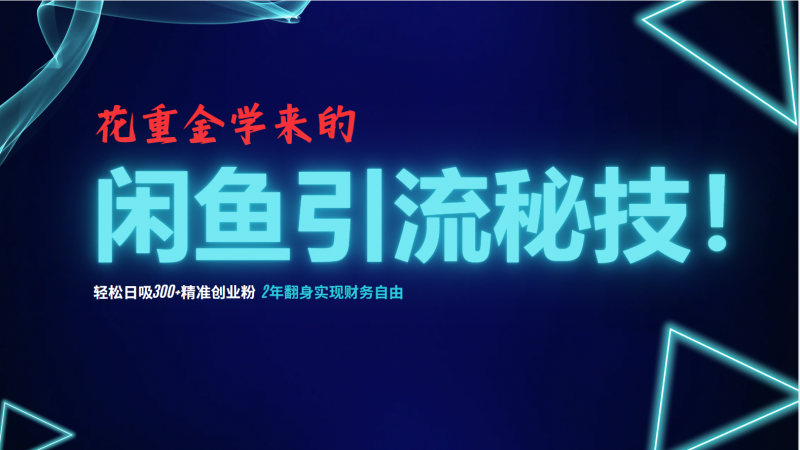 (12887期)花重金学来的闲鱼引流秘技!轻松日吸300+精准创业粉,每天躺赚5000+,2…-轻创社项目网