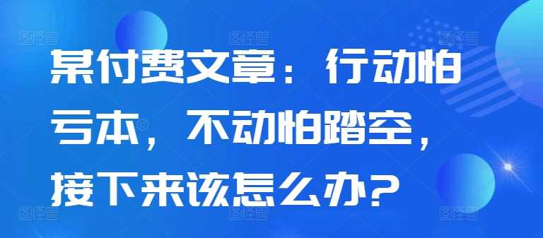 某付费文章:行动怕亏本,不动怕踏空,接下来该怎么办?-轻创社项目网