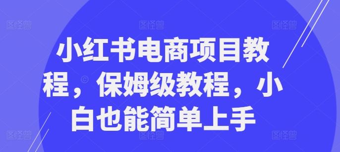 小红书电商项目教程,保姆级教程,小白也能简单上手-轻创社项目网
