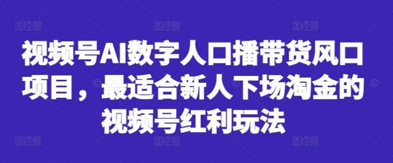 视频号AI数字人口播带货风口项目,最适合新人下场淘金的视频号红利玩法-轻创社项目网