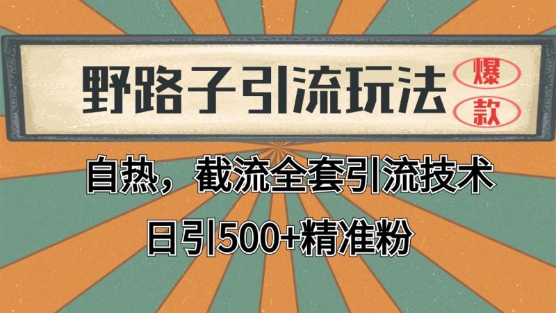 抖音小红书视频号全平台引流打法,全自动引流日引2000+精准客户-轻创社项目网