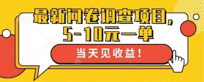 (13167期)最新问卷调查项目,单日零撸100+-轻创社项目网