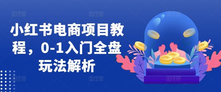 小红书电商项目教程,0-1入门全盘玩法解析-轻创社项目网