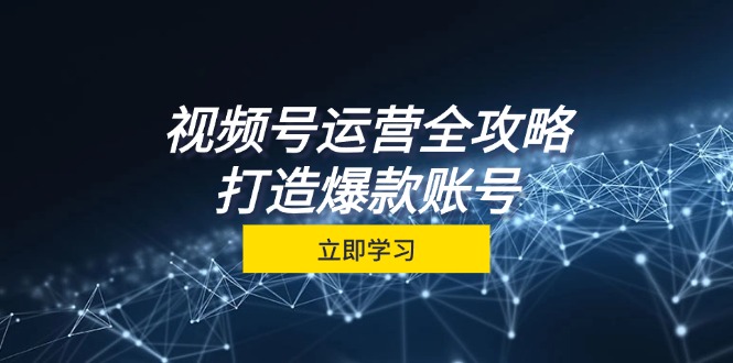 （12912期）视频号运营全攻略，从定位到成交一站式学习，视频号核心秘诀，打造爆款…-轻创社项目网