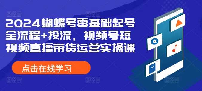 2024蝴蝶号零基础起号全流程+投流,视频号短视频直播带货运营实操课-轻创社项目网