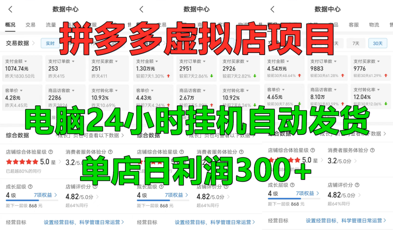 拼多多虚拟店铺项目,电脑挂机自动发货,单店日利润300+-轻创社项目网