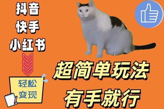 超简单玩法,有手就行,靠猫咪视频日入500+【揭秘】-轻创社项目网