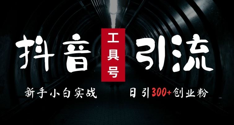 2024最新抖音工具号引流玩法,高效日引300+创业粉,当天变现5k,小白也可成为实战高手-轻创社项目网