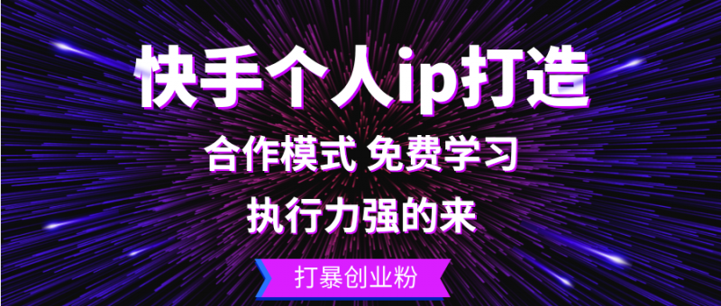 (13023期)快手个人ip打造:执行力强的来 打暴创业粉-轻创社项目网