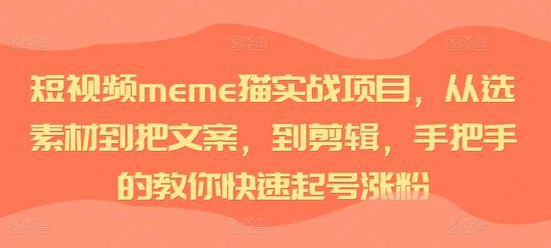 短视频meme猫实战项目，从选素材到把文案，到剪辑，手把手的教你快速起号涨粉-轻创社项目网