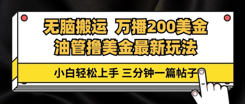 (13050期)油管无脑搬运撸美金玩法教学,万播200刀,三分钟一篇帖子,小白轻松上手-轻创社项目网