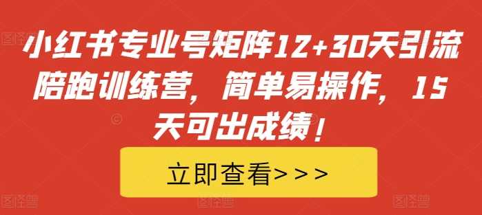 小红书专业号矩阵12+30天引流陪跑训练营,简单易操作,15天可出成绩!-轻创社项目网