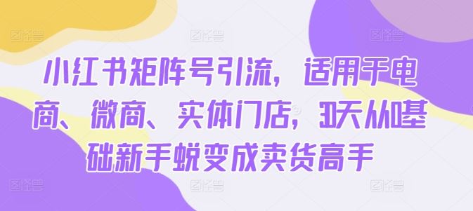 小红书矩阵号引流,适用于电商、微商、实体门店,30天从0基础新手蜕变成卖货高手-轻创社项目网