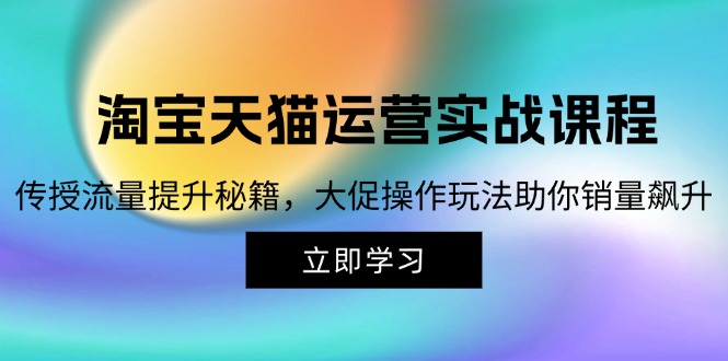 （12959期）淘宝&天猫运营实战课程，传授流量提升秘籍，大促操作玩法助你销量飙升-轻创社项目网