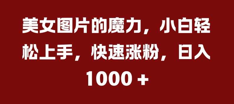 美女图片的魔力,小白轻松上手,快速涨粉,日入几张【揭秘】-轻创社项目网