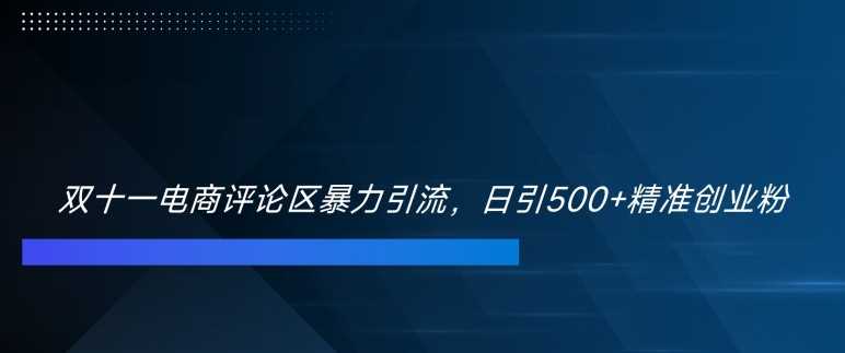 双十一电商评论区暴力引流,日引500+精准创业粉【揭秘】-轻创社项目网