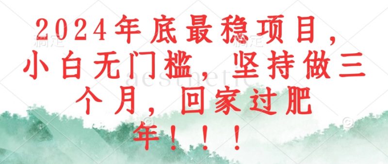（12970期）2024年底最稳项目，小白无门槛，坚持做三个月，回家过肥年！！！-轻创社项目网