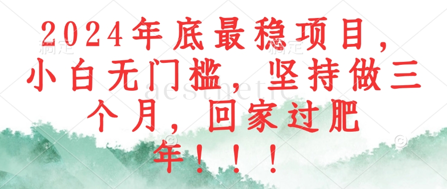 图片[1]-（12970期）2024年底最稳项目，小白无门槛，坚持做三个月，回家过肥年！！！