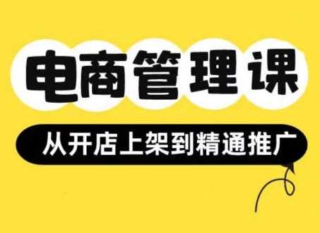 小红书&闲鱼开店从开店上架到精通推广,电商管理课-轻创社项目网