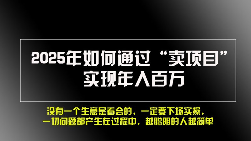 2025年如何通过“卖项目”实现年入百万-轻创社项目网