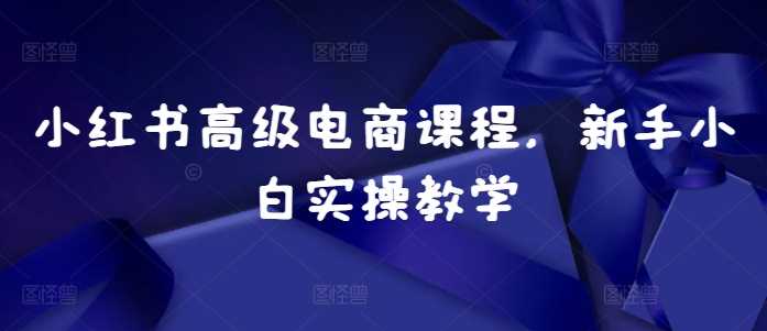 小红书高级电商课程,新手小白实操教学-轻创社项目网