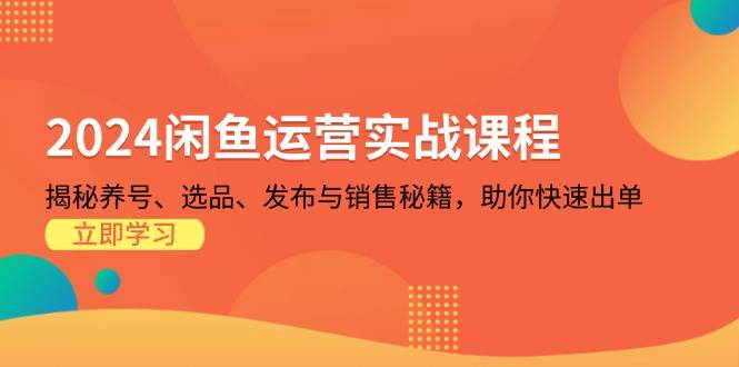 (13290期)2024闲鱼运营实战课程:揭秘养号、选品、发布与销售秘籍,助你快速出单-轻创社项目网