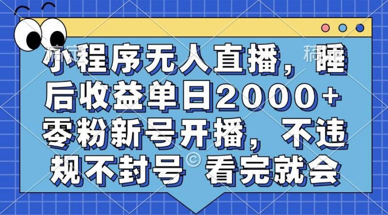 (13251期)小程序无人直播,睡后收益单日2000+ 零粉新号开播,不违规不封号 看完就会-轻创社项目网