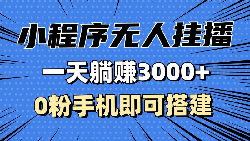(13209期)抖音小程序无人挂播,一天躺赚3000+,0粉手机可搭建,不违规不限流,小…-轻创社项目网