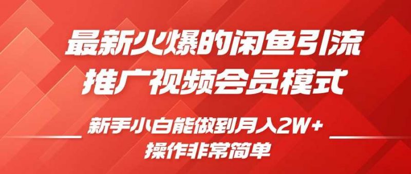 闲鱼引流推广影视会员,0成本就可以操作,新手小白月入过W+【揭秘】-轻创社项目网