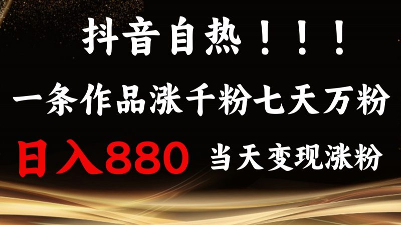 抖音小红书自热,一条作品1000粉,7天万粉,单日变现880收益-轻创社项目网