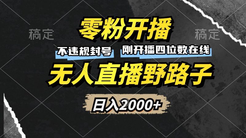 (13292期)零粉开播,无人直播野路子,日入2000+,不违规封号,躺赚收益!-轻创社项目网