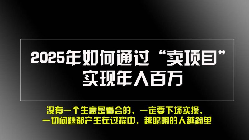 (13468期)2025年如何通过“卖项目”实现年入百万,做网赚必看!!-轻创社项目网