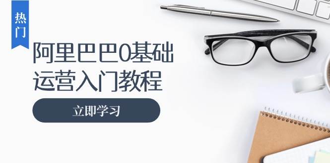 (13291期)阿里巴巴运营零基础入门教程:涵盖开店、运营、推广,快速成为电商高手-轻创社项目网