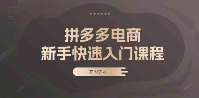 拼多多电商新手快速入门课程:涵盖基础、实战与选款,助力小白轻松上手-轻创社项目网