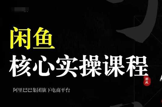 2024闲鱼核心实操课程,从养号、选品、发布、销售,教你做一个出单的闲鱼号-轻创社项目网