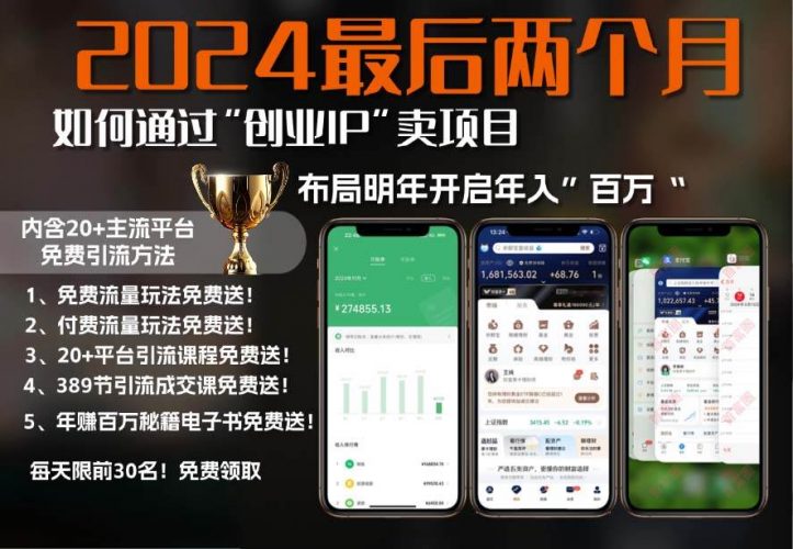 (13322期)2024最后两个月如何通过”创业IP“卖项目年入”百万“,创业IP+最强引流…-轻创社项目网