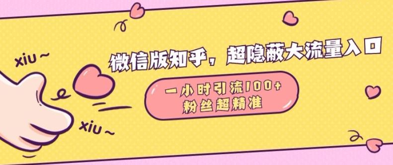 微信版知乎,超隐蔽流量入口1小时引流100人,粉丝质量超高【揭秘】-轻创社项目网