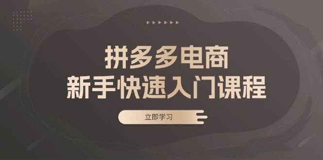 (13289期)拼多多电商新手快速入门课程:涵盖基础、实战与选款,助力小白轻松上手-轻创社项目网