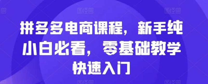 拼多多电商课程,新手纯小白必看,零基础教学快速入门-轻创社项目网