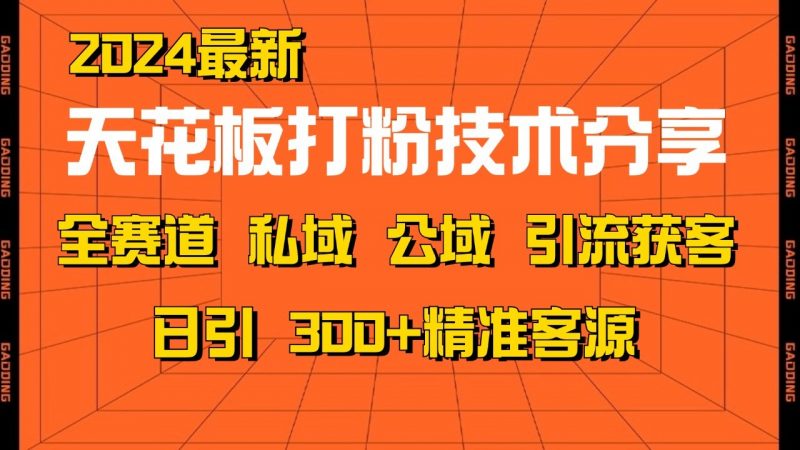 天花板打粉技术分享,野路子玩法 曝光玩法免费矩阵自热技术日引2000+精准客户-轻创社项目网