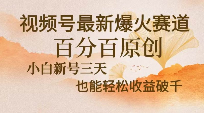 (13225期)视频号最新爆火赛道,中老年粉深信不疑,百分百原创,新号三天收益轻松…-轻创社项目网