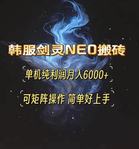 (13435期)韩服剑灵NEO搬砖攻略,单机纯利润月入6000+ 可矩阵操作,简单好上手。-轻创社项目网
