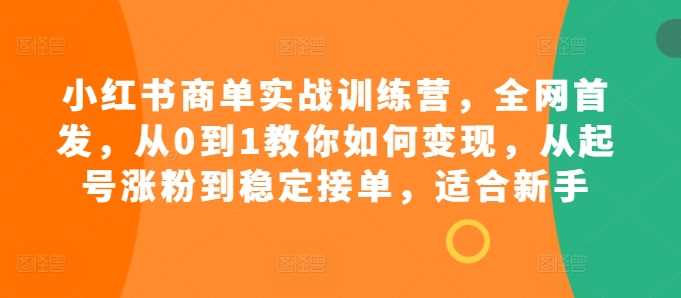 小红书商单实战训练营,全网首发,从0到1教你如何变现,从起号涨粉到稳定接单,适合新手-轻创社项目网