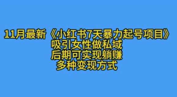 K总部落11月最新小红书7天暴力起号项目,吸引女性做私域【揭秘】-轻创社项目网