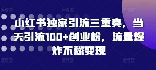 小红书独家引流三重奏,当天引流100+创业粉,流量爆炸不愁变现【揭秘】-轻创社项目网