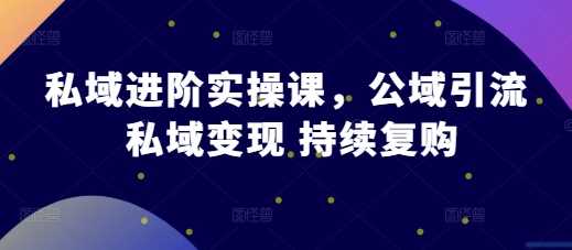 私域进阶实操课,公域引流 私域变现 持续复购-轻创社项目网