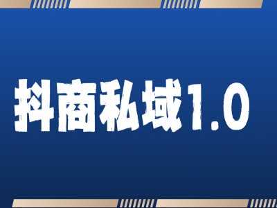 抖商服务私域1.0,抖音引流获客详细教学-轻创社项目网