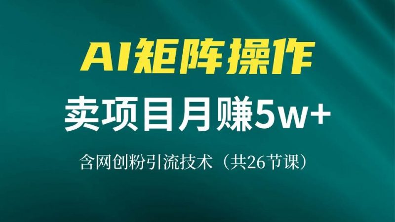 (13335期)网创IP打造课,借助AI卖项目月赚5万+,含引流技术(共26节课)-轻创社项目网