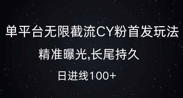 单平台无限截流创业粉首发玩法,精准曝光,长尾持久,日引流100+【揭秘】-轻创社项目网