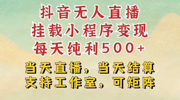 抖音无人直播挂载小程序变现每天纯利500+当天直播,当天结算支持工作室,可矩阵【揭秘】-轻创社项目网